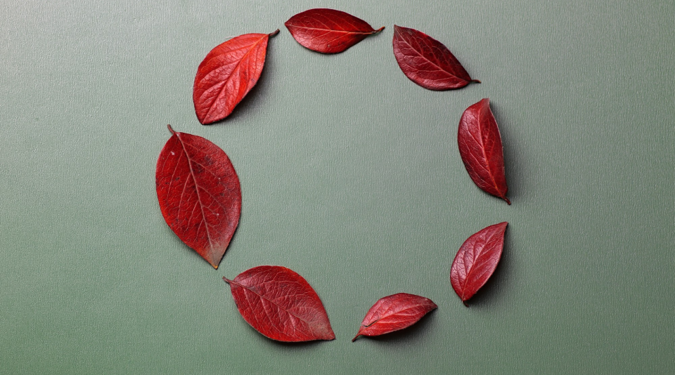 ISO 14001:2015 Environmental Management