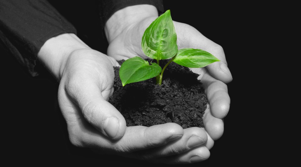 Environmental Protection Policy